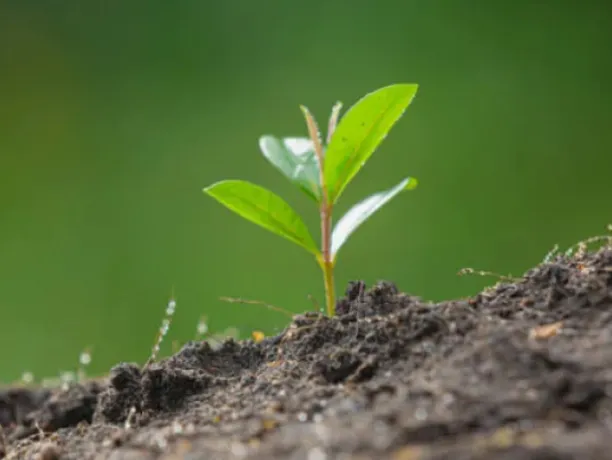 Ecosystem 2030