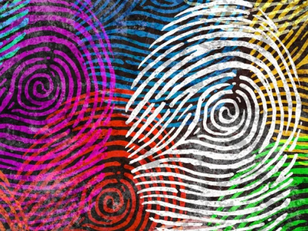 Inclusion and Diversity