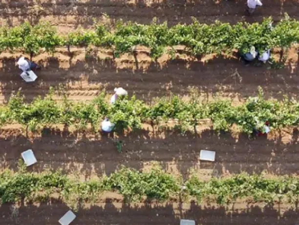 Our Sustainability Performance Reports