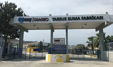Tarsus